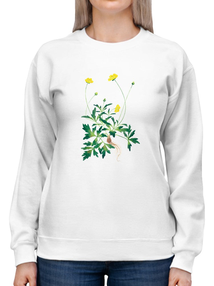Little Buttercups Sweatshirt -Gabby Malpas Designs