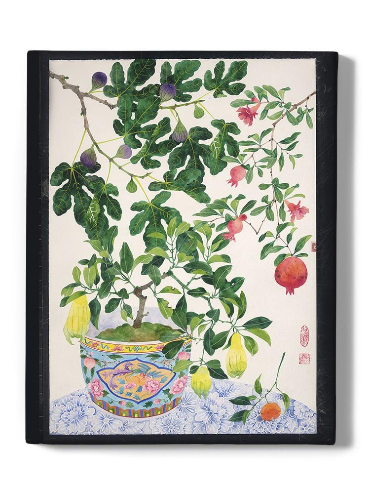 Fruit Abundance Wall Art -Gabby Malpas Designs