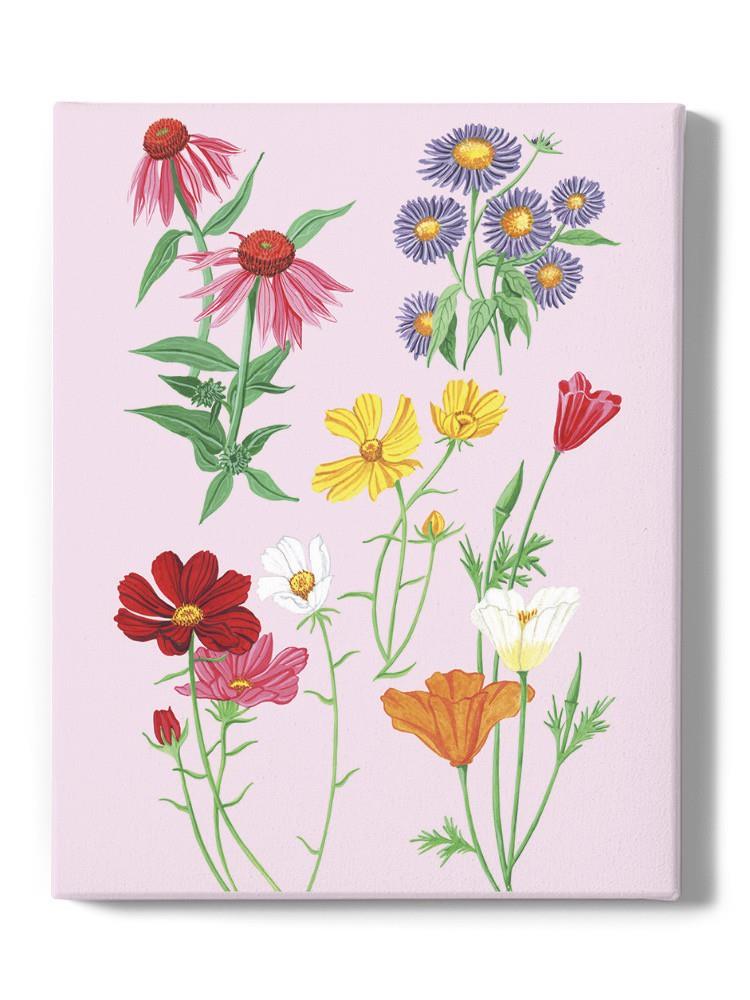 Wild Flowers I Wall Art -Girija Kulkarni Designs