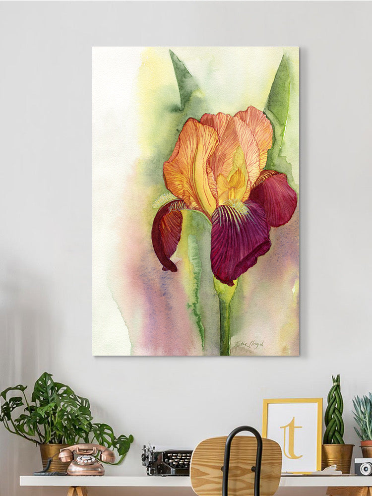 Blooming Bearded Iris Wall Art -Katie Lloyd Designs