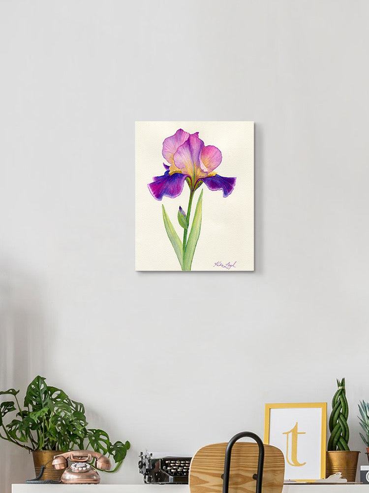 Lizzy Pink And Purple Iris Wall Art -Katie Lloyd Designs