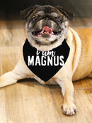 Belong To Pet Name Shaped T-shirt -Custom Designs