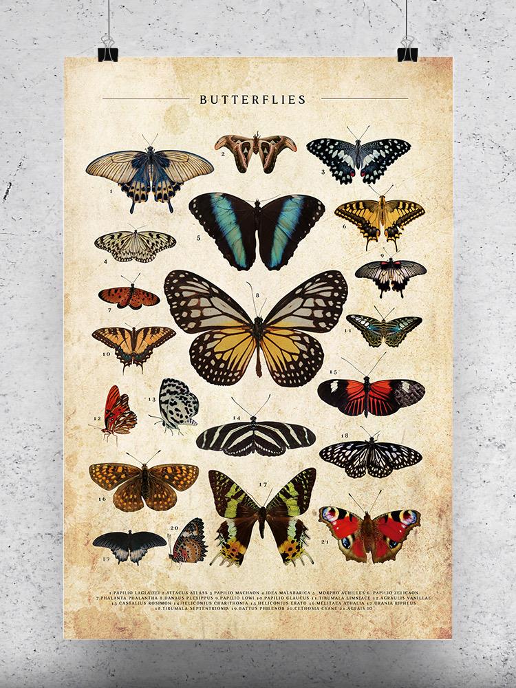 Butterflies Art Wall Art -SmartPrintsInk Designs