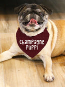 Champagne Puppi Pet Bandana Small -SmartPrintsInk Designs