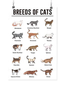 Breeds Of Cats Wall Art -SmartPrintsInk Designs