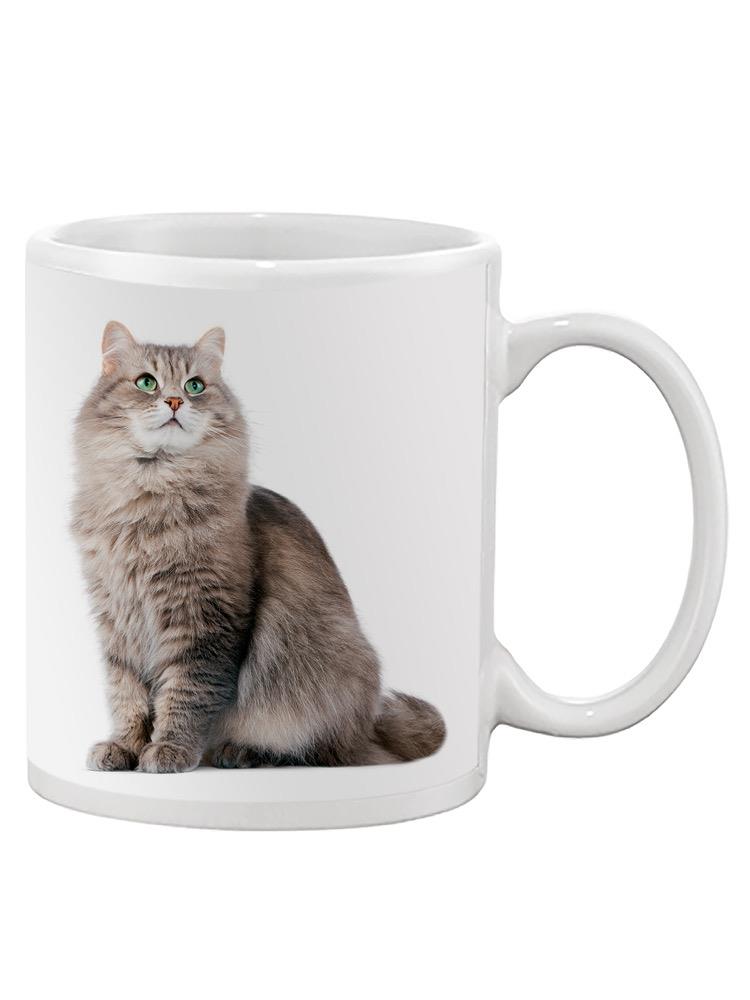 Cute Sitting Kitten. Mug -SPIdeals Designs