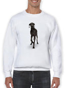 Great Dane Dog Sweatshirt -SPIdeals Designs