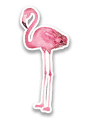 Flamingo Sticker -SPIdeals Designs
