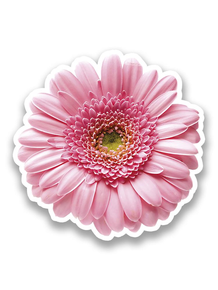 Pink Daisy Flower Sticker -SPIdeals Designs