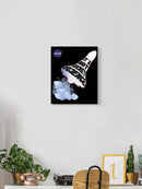It's Not Rocket Science Wall Art -NASA Designs