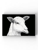 The Lamb Who Spoke Wolf Wall Art -Halit Kurtulmus Aytoslu Designs