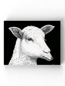 The Lamb Who Spoke Wolf Wall Art -Halit Kurtulmus Aytoslu Designs