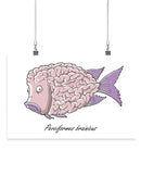 Perciformes Brainicus Wall Art -Engin Selcuk Designs