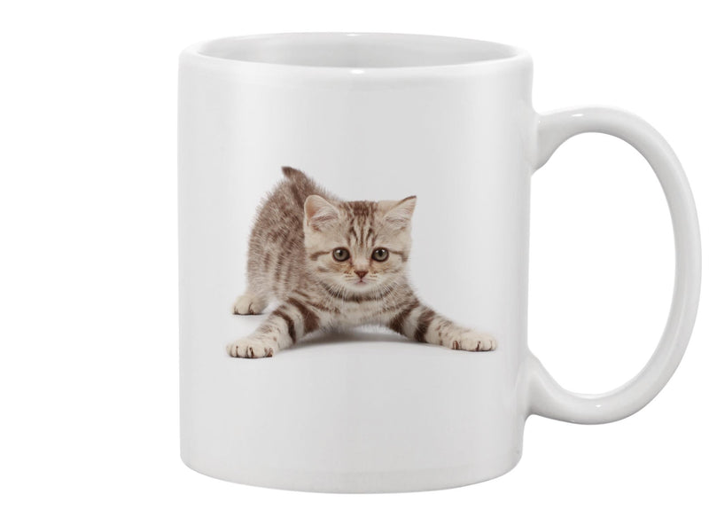 Cute Kitten Design Mug -Image by Shutterstock