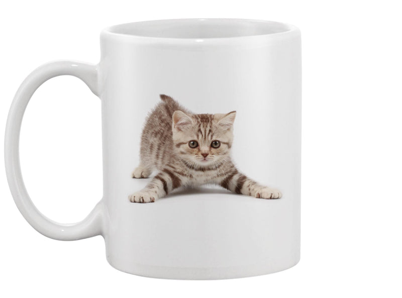 Cute Kitten Design Mug -Image by Shutterstock