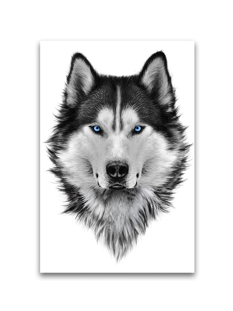 Elegant Siberian Husky Portrait Poster -Image by Shutterstock