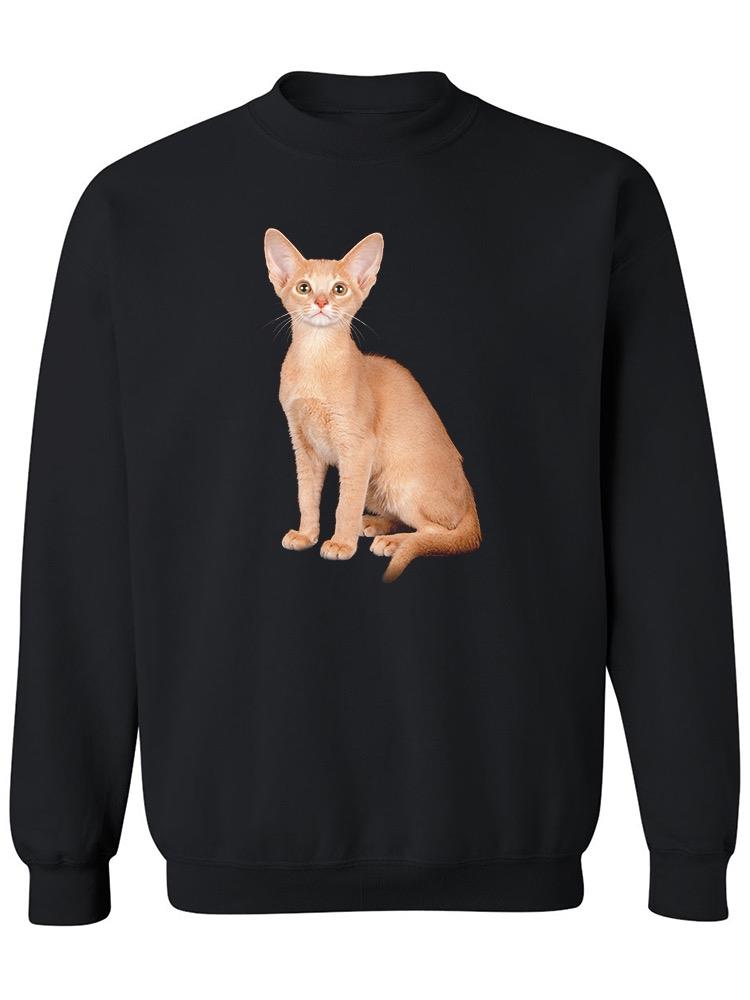 Little Abyssinian Kitty Sweatshirt Men's -Image by Shutterstock