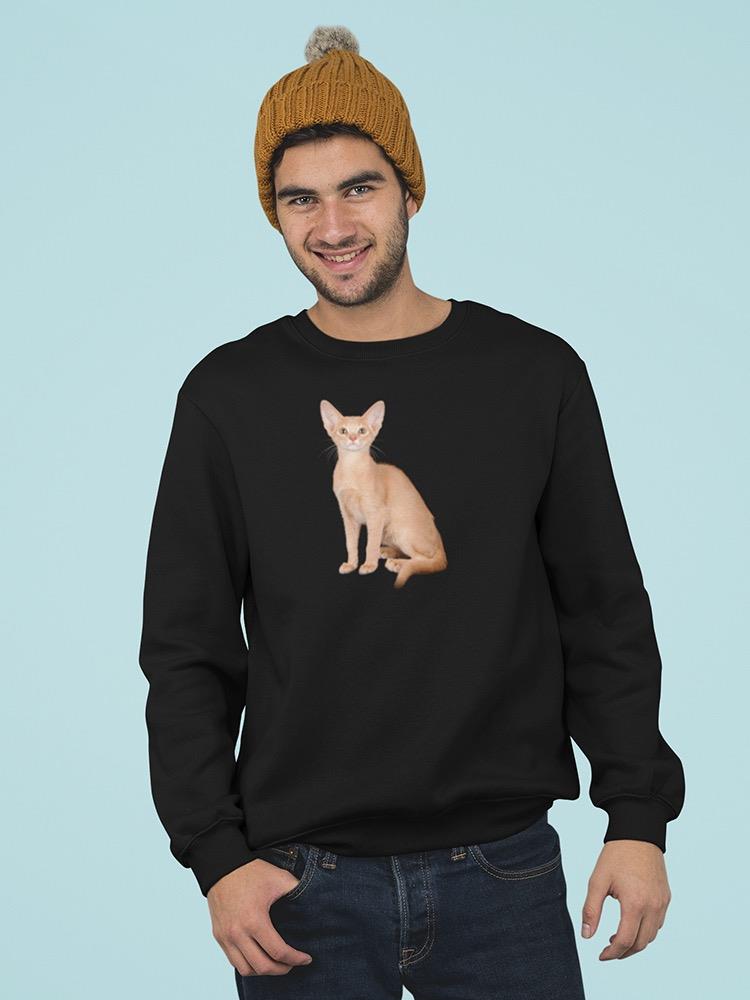 Little Abyssinian Kitty Sweatshirt Men's -Image by Shutterstock