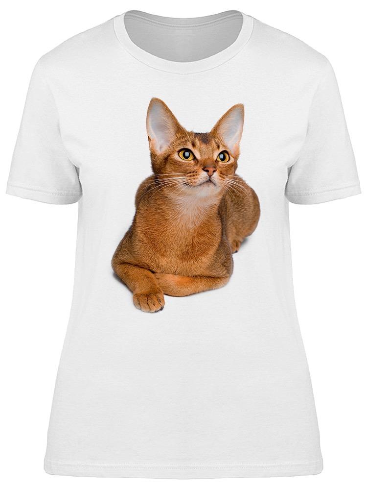 Pretty Young Abyssinian Cat Tee Women's -Image by Shutterstock