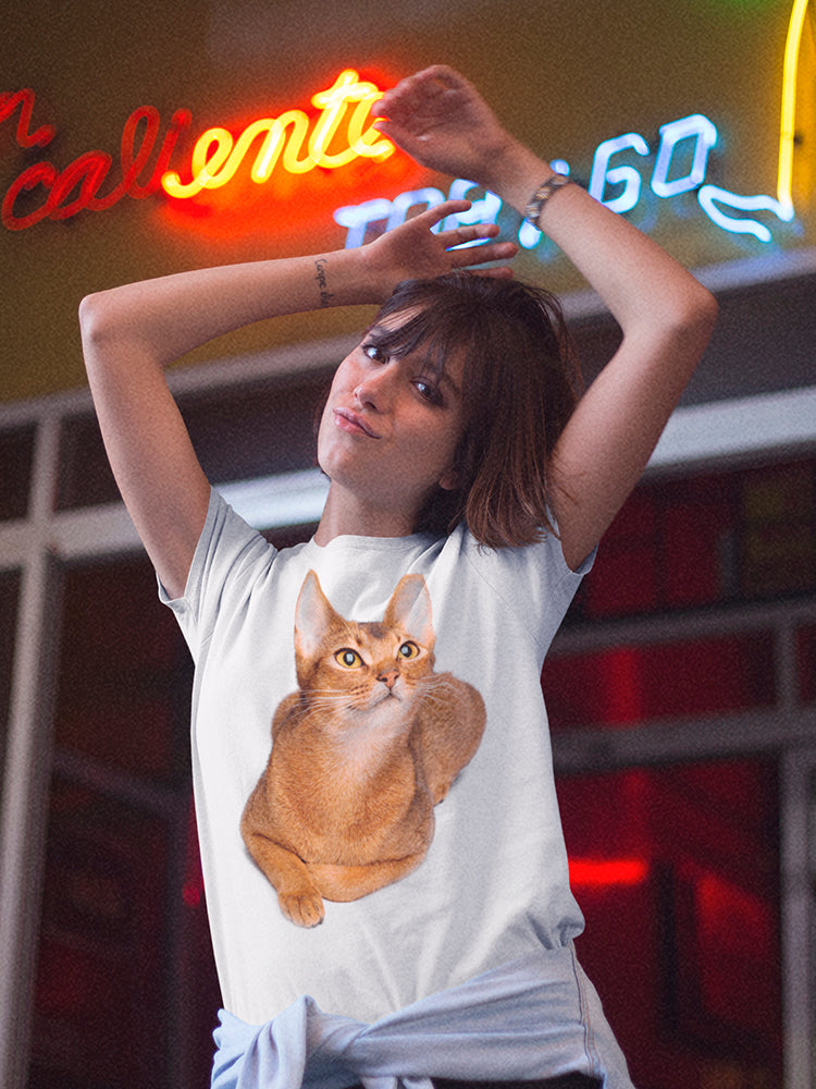 Pretty Young Abyssinian Cat Tee Women's -Image by Shutterstock