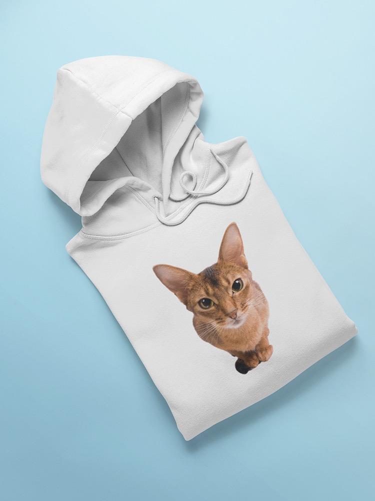 Curious Abyssinian Cat Close Up Hoodie Women's -Image by Shutterstock