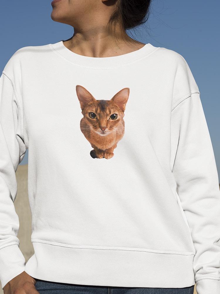 Curious Abyssinian Red Cat Sweatshirt Women's -Image by Shutterstock
