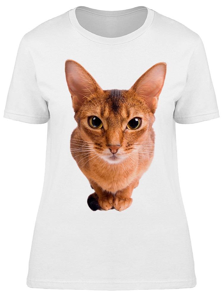 Curious Abyssinian Cat Tee Women's -Image by Shutterstock