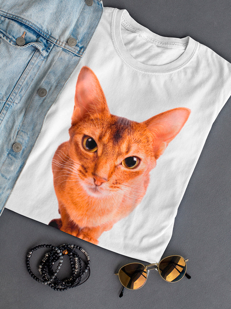 Curious Abyssinian Cat Tee Women's -Image by Shutterstock
