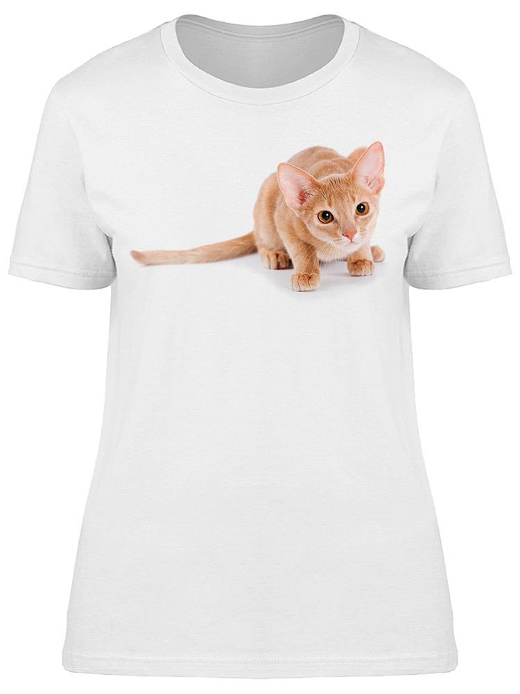 Amazing Abyssinian Cat Tee Women's -Image by Shutterstock