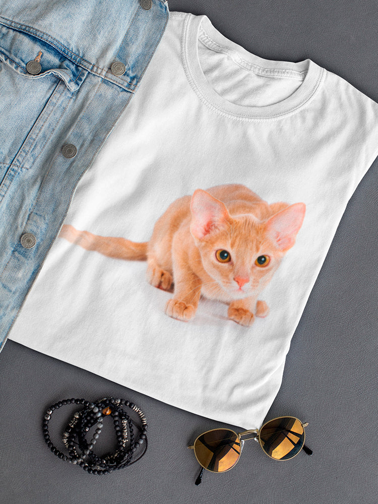 Amazing Abyssinian Cat Tee Women's -Image by Shutterstock