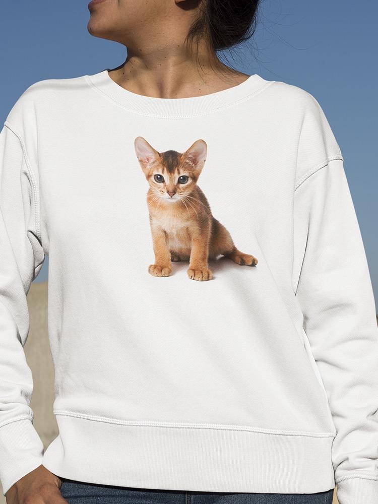 Sweet Abyssinian Kitten Sweatshirt Women's -Image by Shutterstock