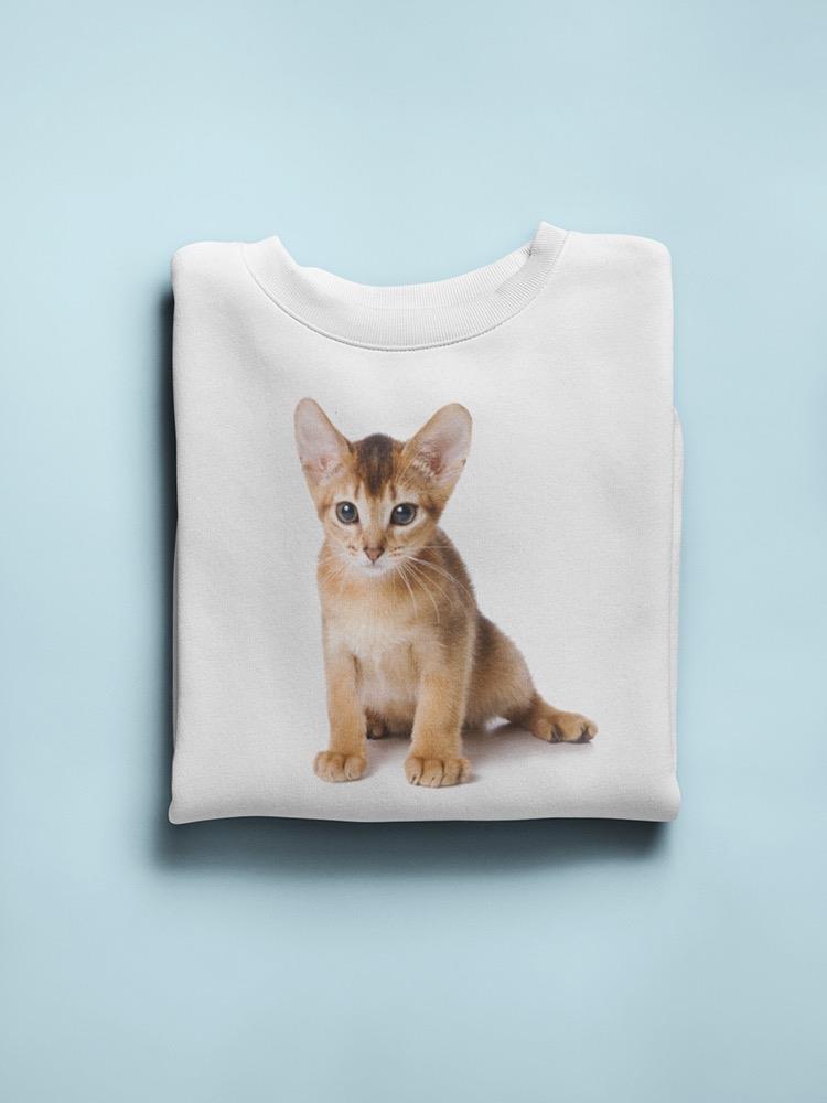 Sweet Abyssinian Kitten Sweatshirt Women's -Image by Shutterstock