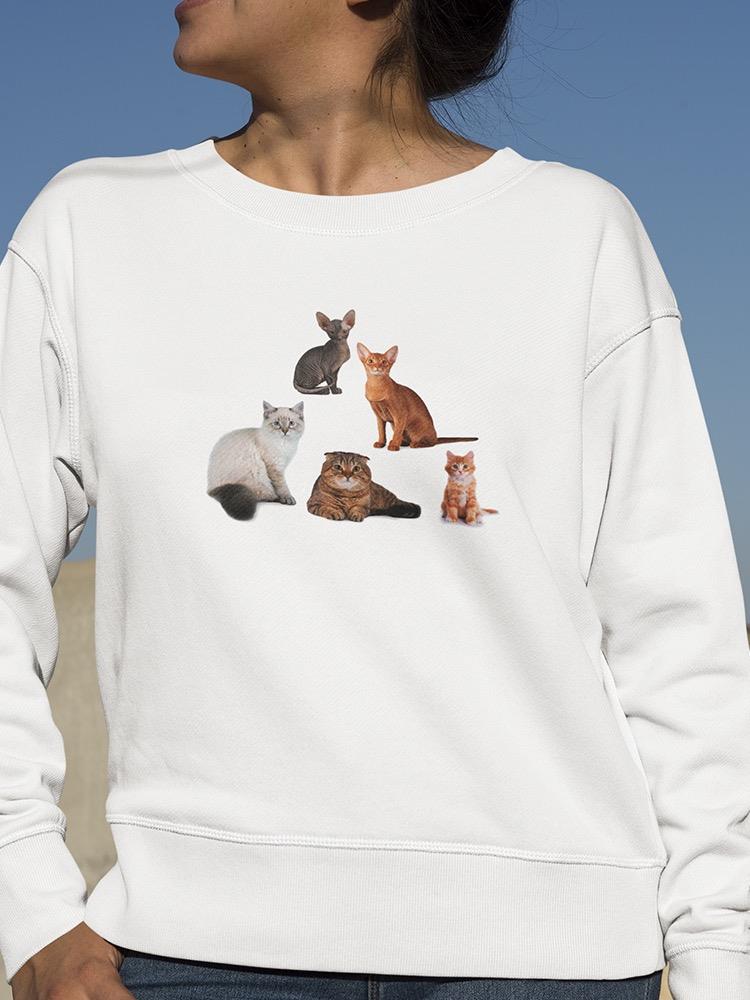 Group Of Cats Looking At Camera Sweatshirt Women's -Image by Shutterstock