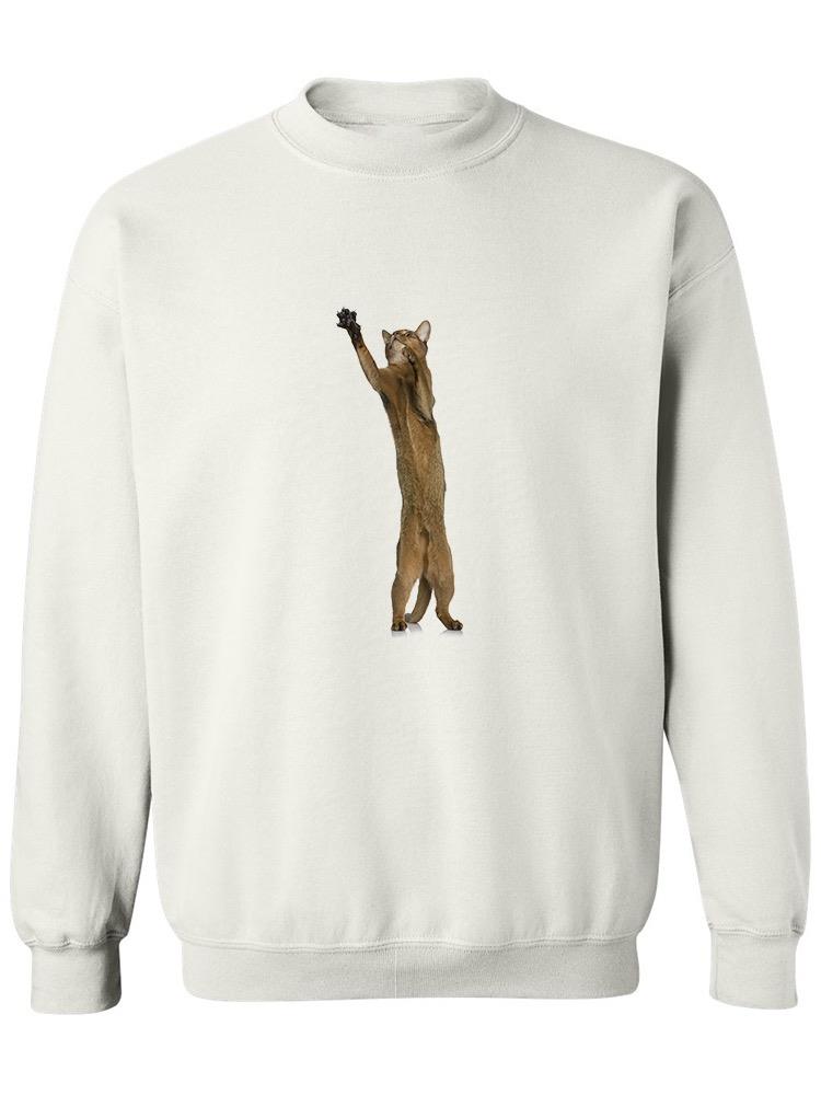 Majestic Abyssinian Swipe Sweatshirt Women's -Image by Shutterstock