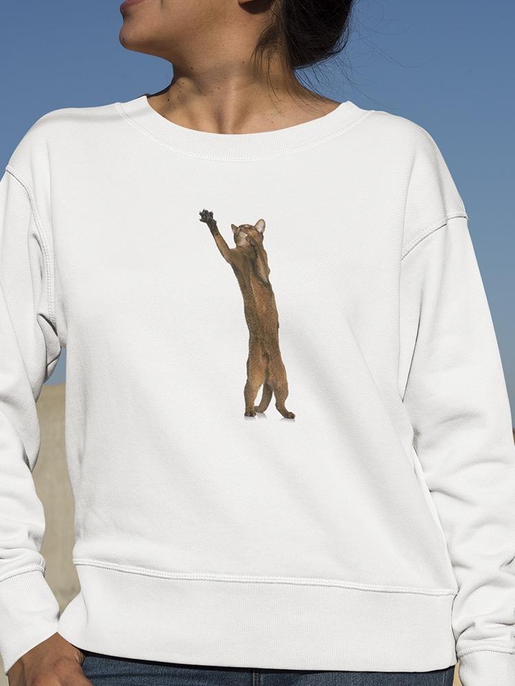 Majestic Abyssinian Swipe Sweatshirt Women's -Image by Shutterstock