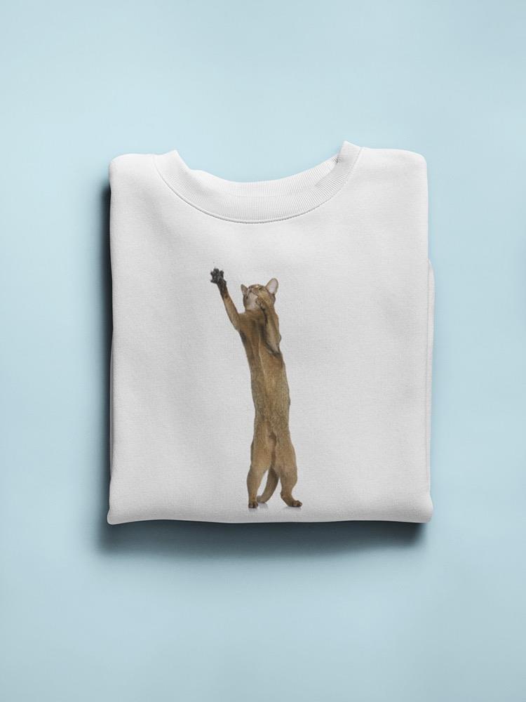 Majestic Abyssinian Swipe Sweatshirt Women's -Image by Shutterstock