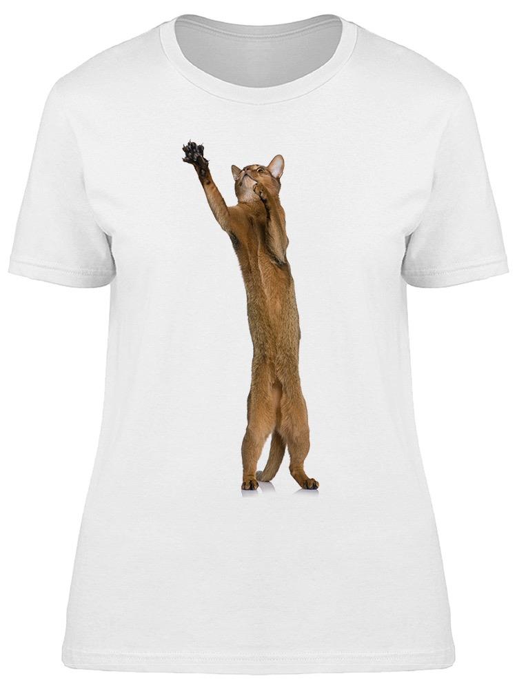 Abyssinian Cat Need A Hug Tee Women's -Image by Shutterstock