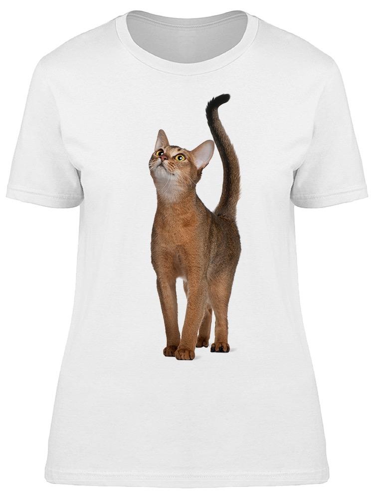 Pretty Brown Abyssinian Cat Tee Women's -Image by Shutterstock