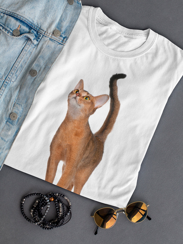 Pretty Brown Abyssinian Cat Tee Women's -Image by Shutterstock
