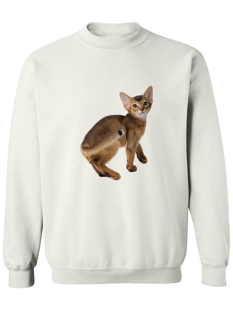 Adorable Ruddy Abyssinian Kitty  Sweatshirt Women's -Image by Shutterstock