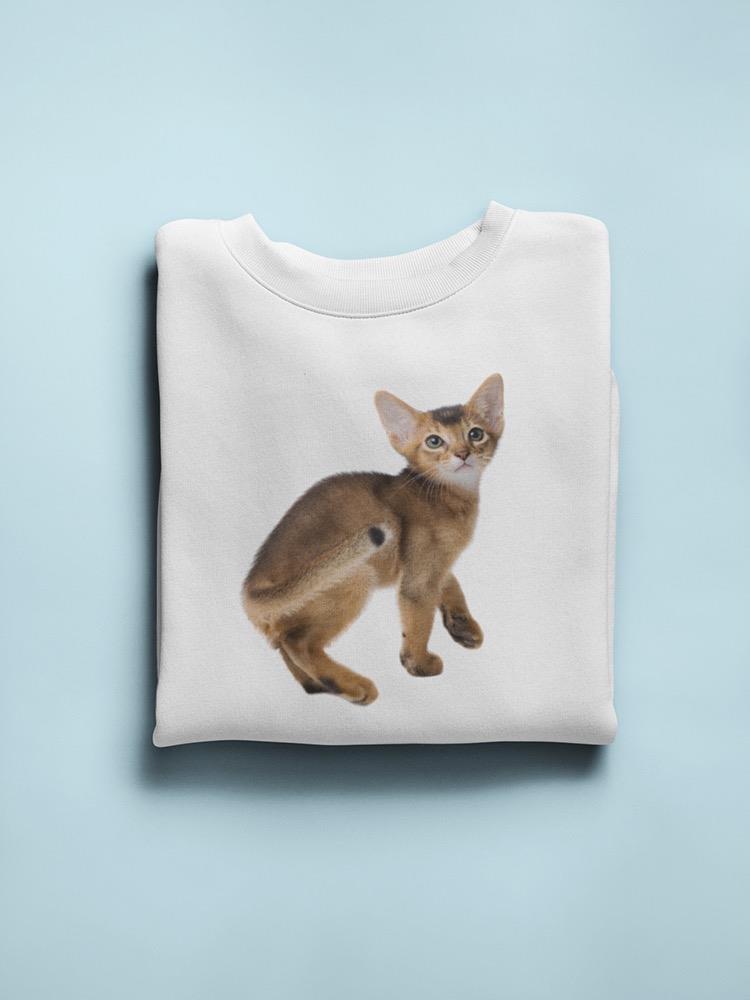 Adorable Ruddy Abyssinian Kitty  Sweatshirt Women's -Image by Shutterstock