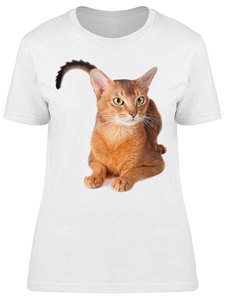 Beautiful Abyssinian Cat Tee Women's -Image by Shutterstock