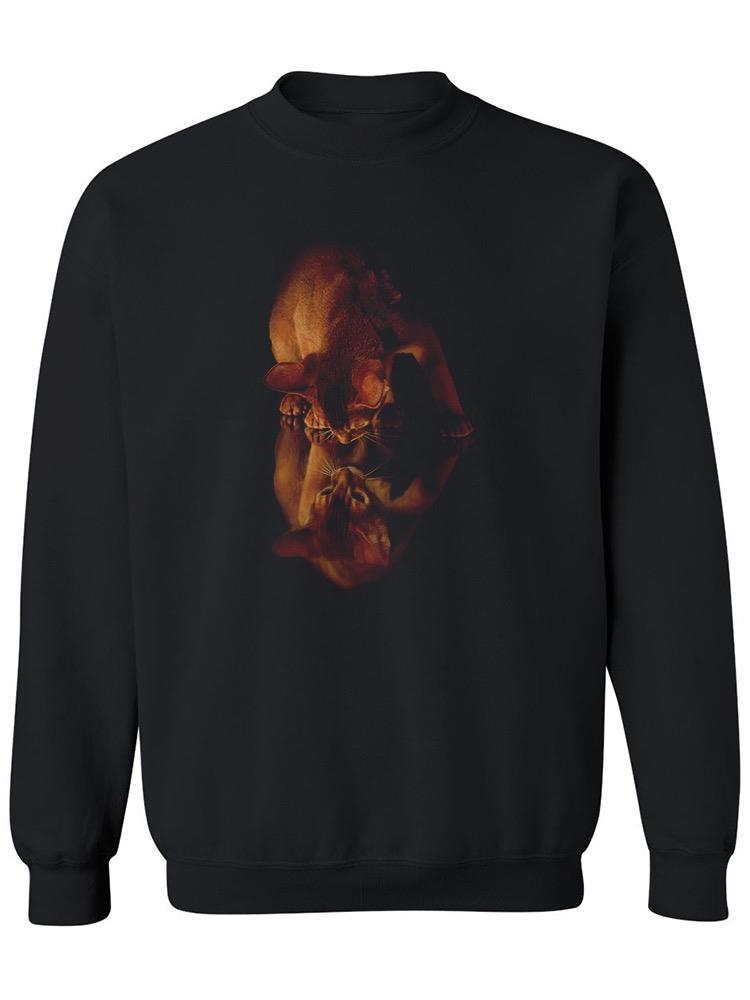 Abyssinian Staring At Reflection Sweatshirt Women's -Image by Shutterstock