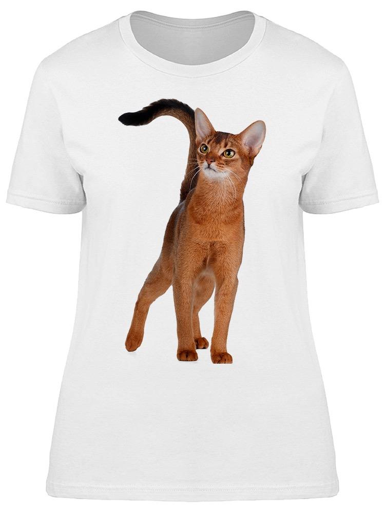 Amazing Young Abyssinian Cat  Tee Women's -Image by Shutterstock