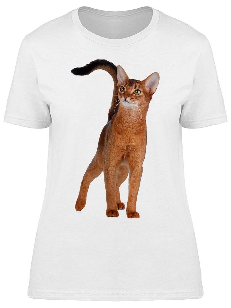 Amazing Young Abyssinian Cat  Tee Women's -Image by Shutterstock
