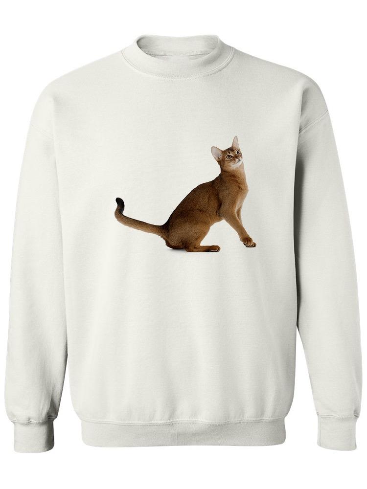 Loving Abyssinian Cat Raised Paw Sweatshirt Women's -Image by Shutterstock
