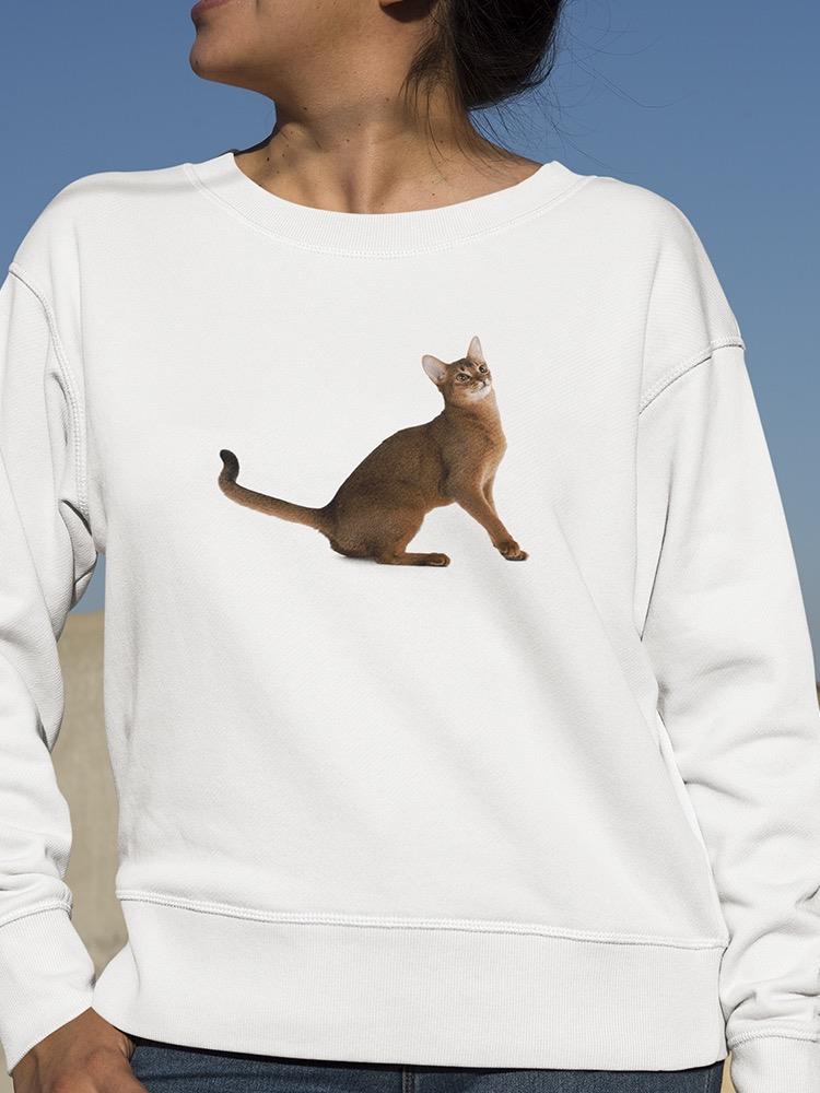 Loving Abyssinian Cat Raised Paw Sweatshirt Women's -Image by Shutterstock