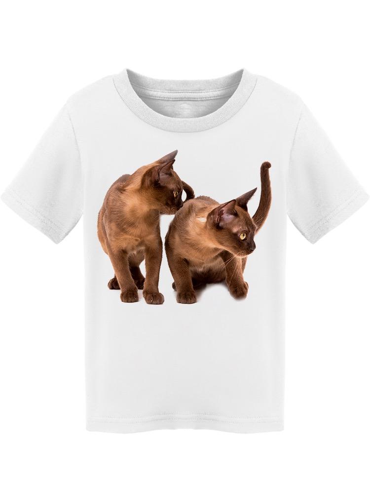 Burmese Cats, Couple  Tee Toddler's -Image by Shutterstock
