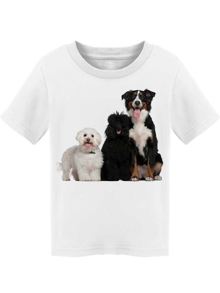 3 Different Sized Dogs Tee Toddler's -Image by Shutterstock