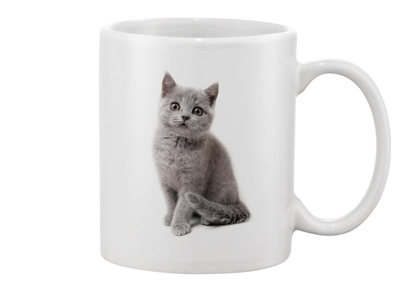 British Blue Cat Sitting Mug -Image by Shutterstock